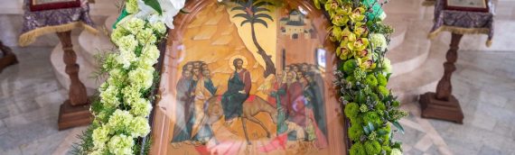 09 апреля, в Неделю ваий, в день праздника Входа Господня в Иерусалим, в нашем храме была отслужена праздничная Божественная Литургия.