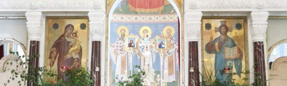 23 июня, в неделю 8-ю по Пасхе, в день Святой Троицы в нашем храме была совершена праздничная Божественная Литургия.