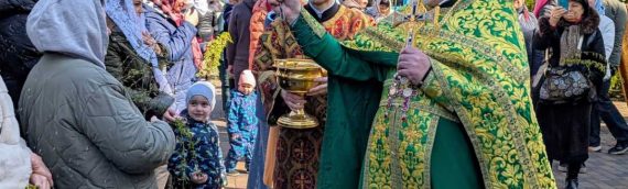 13 апреля, в Неделю ваий, в день праздника Входа Господня в Иерусалим, в нашем храме была отслужена праздничная Божественная Литургия.