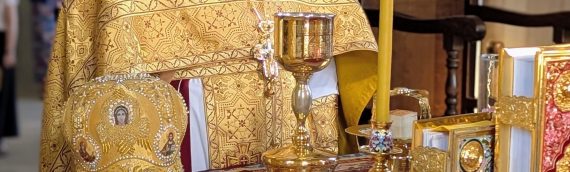 Ваше Высокопреподобие, дорогой отец Владимир! В день вашего Дня Рождения, примите искренние поздравления от клира, хора, труждающихся и прихожан нашего храма.