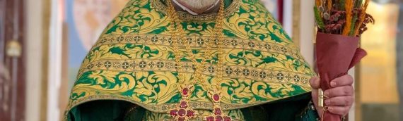 05 апреля, в Неделю ваий, в день праздника Входа Господня в Иерусалим, в нашем храме была отслужена праздничная Божественная Литургия.